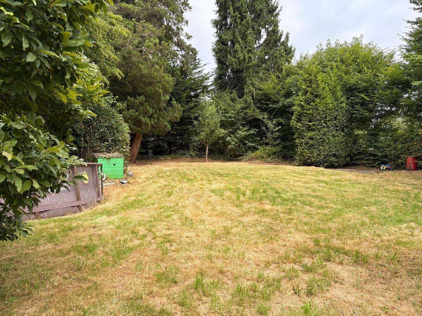 Garten 2