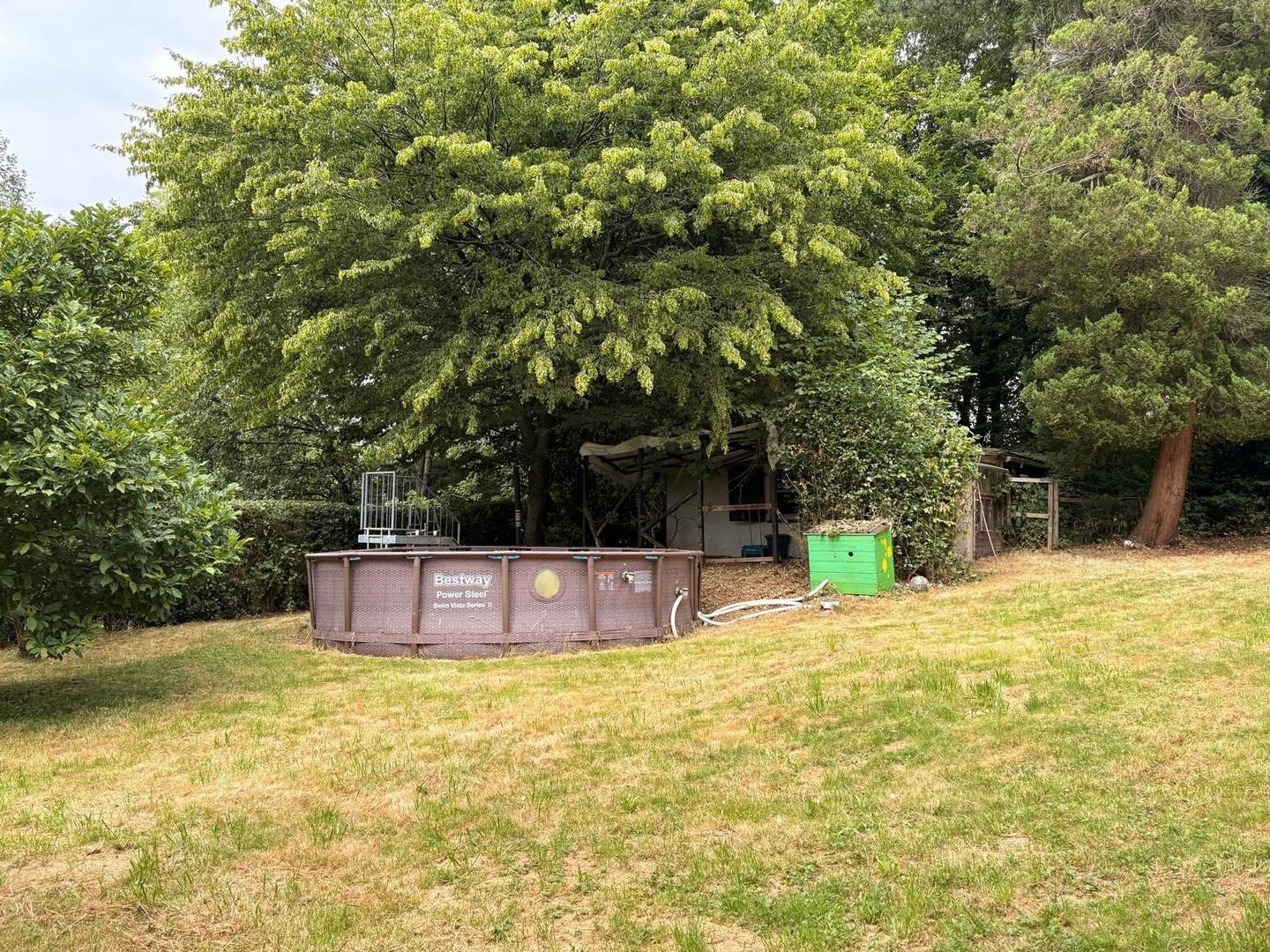 Garten 4