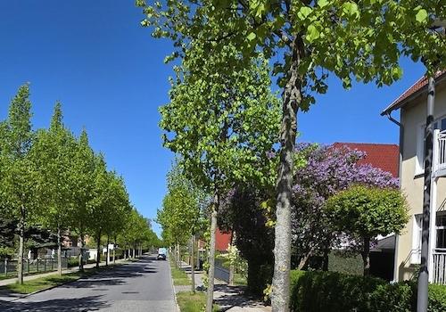 Neue Reihe
