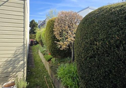 Garten