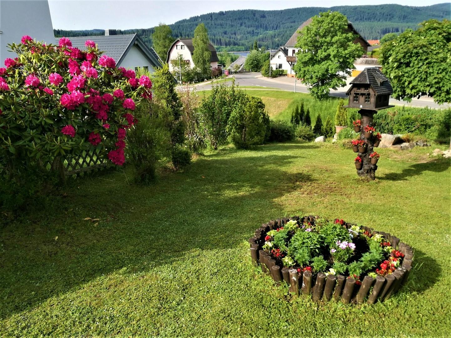 Garten linke Seite