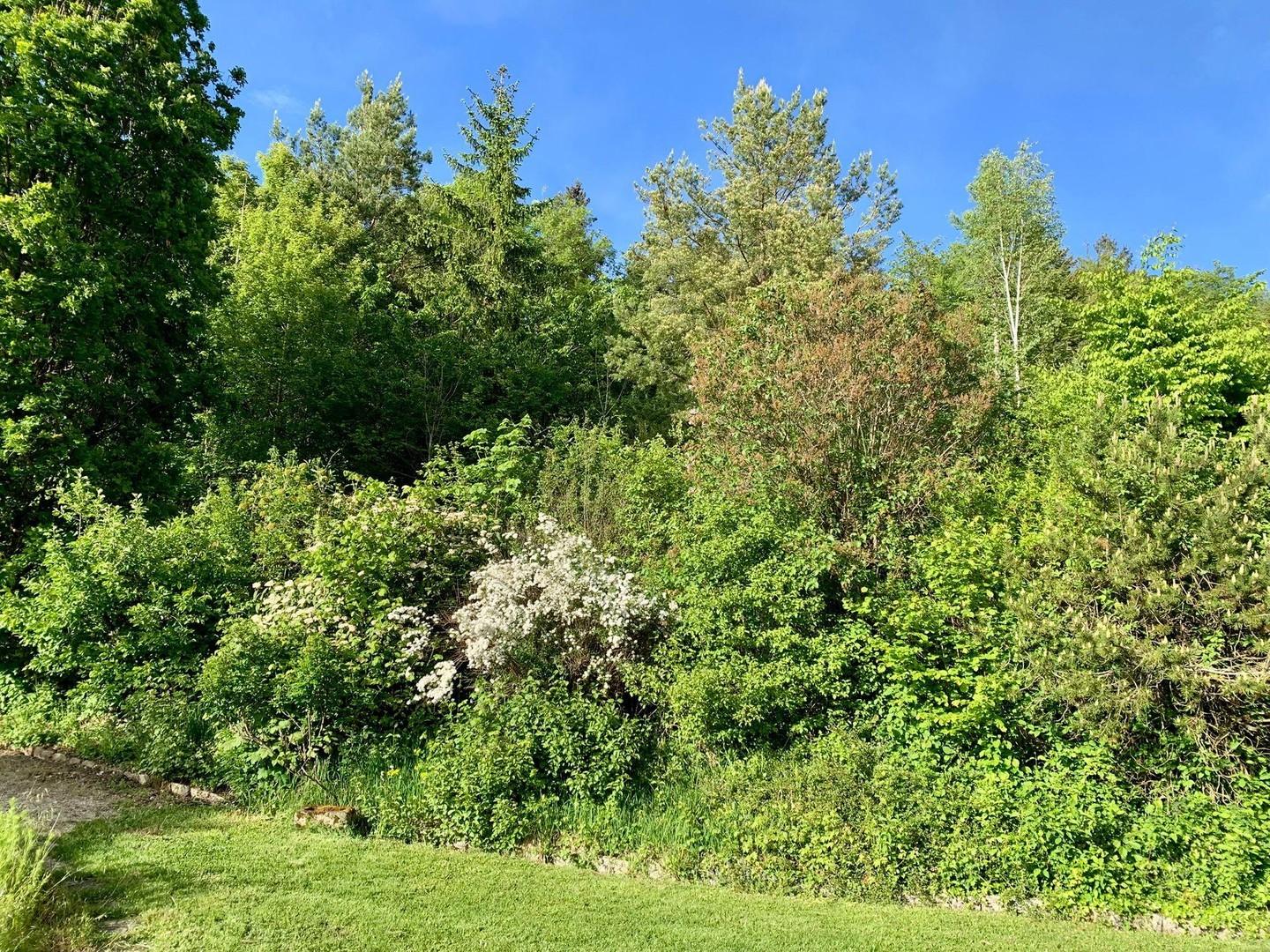 Lage am Wald