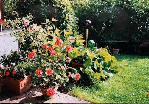 Gartenblick hinterer Eingang