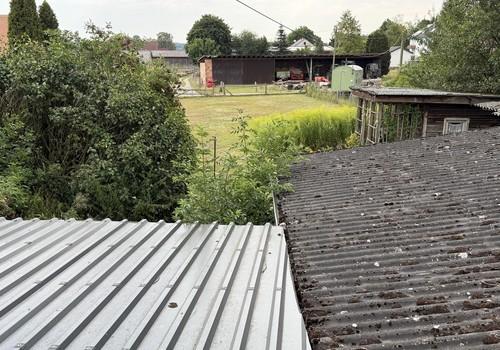 Blick in Garten