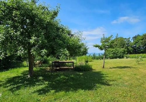 Garten 1.3