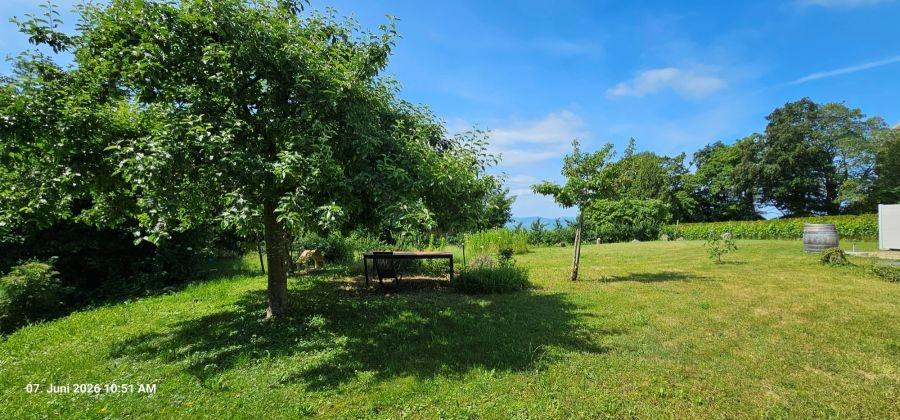 Garten 1.3