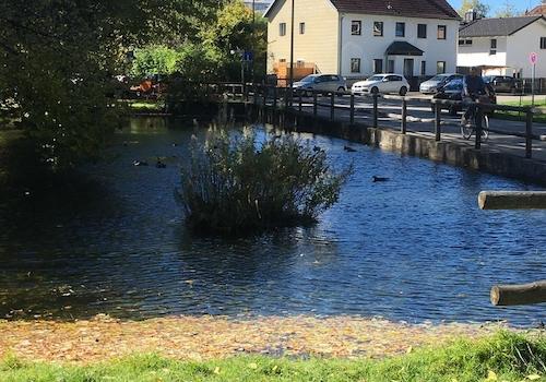 Umgebung Weiher