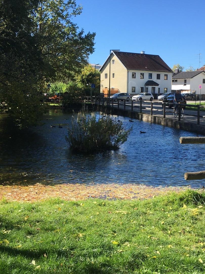 Umgebung Weiher