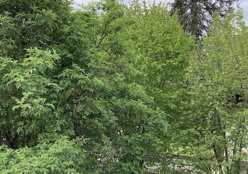 Balkon Ausblick rechts