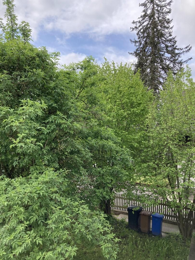 Balkon Ausblick rechts