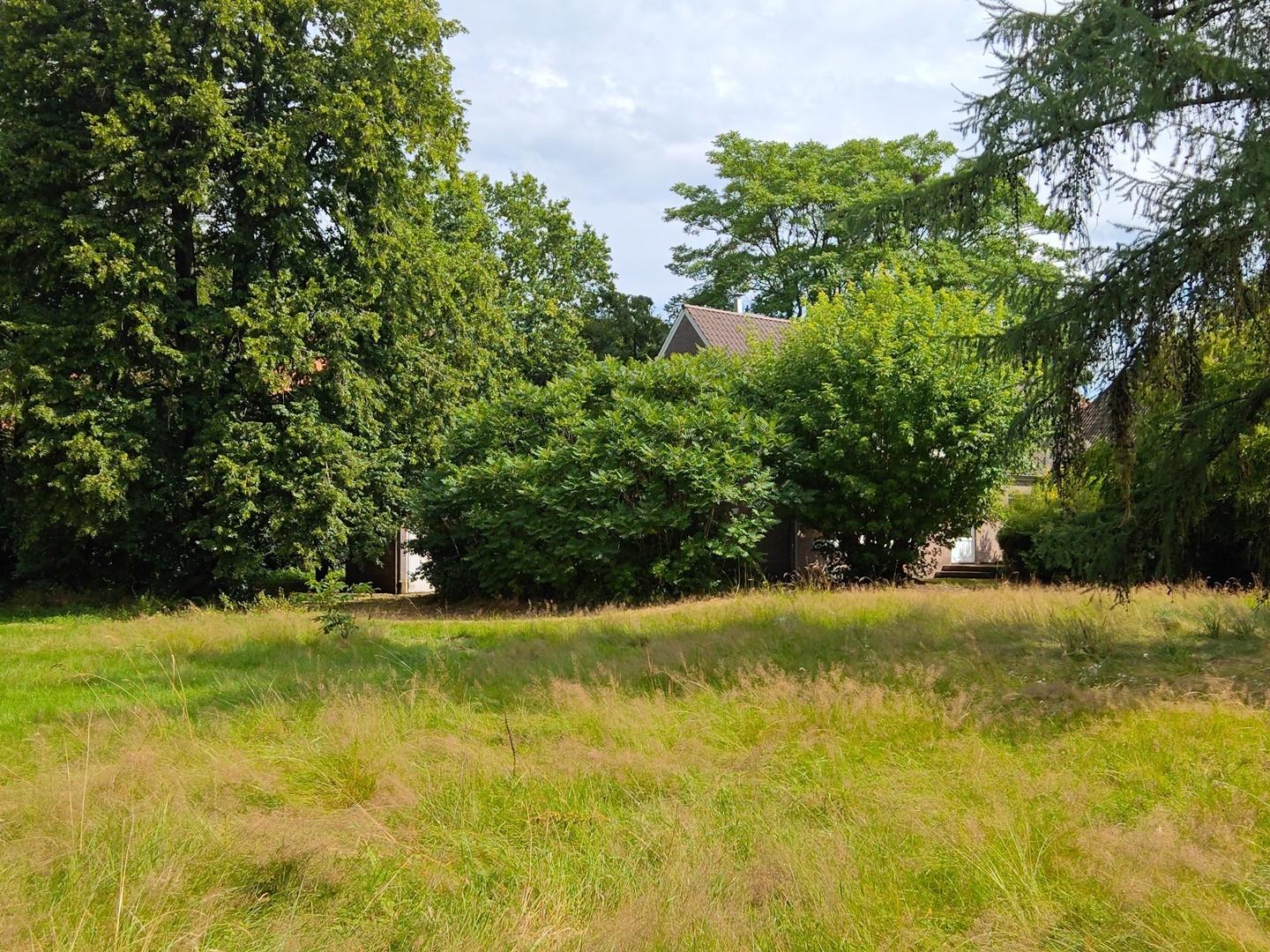 Gartenansicht Südwest