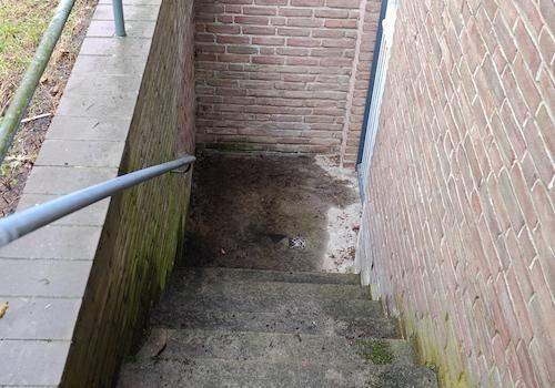 Außenkellertreppe
