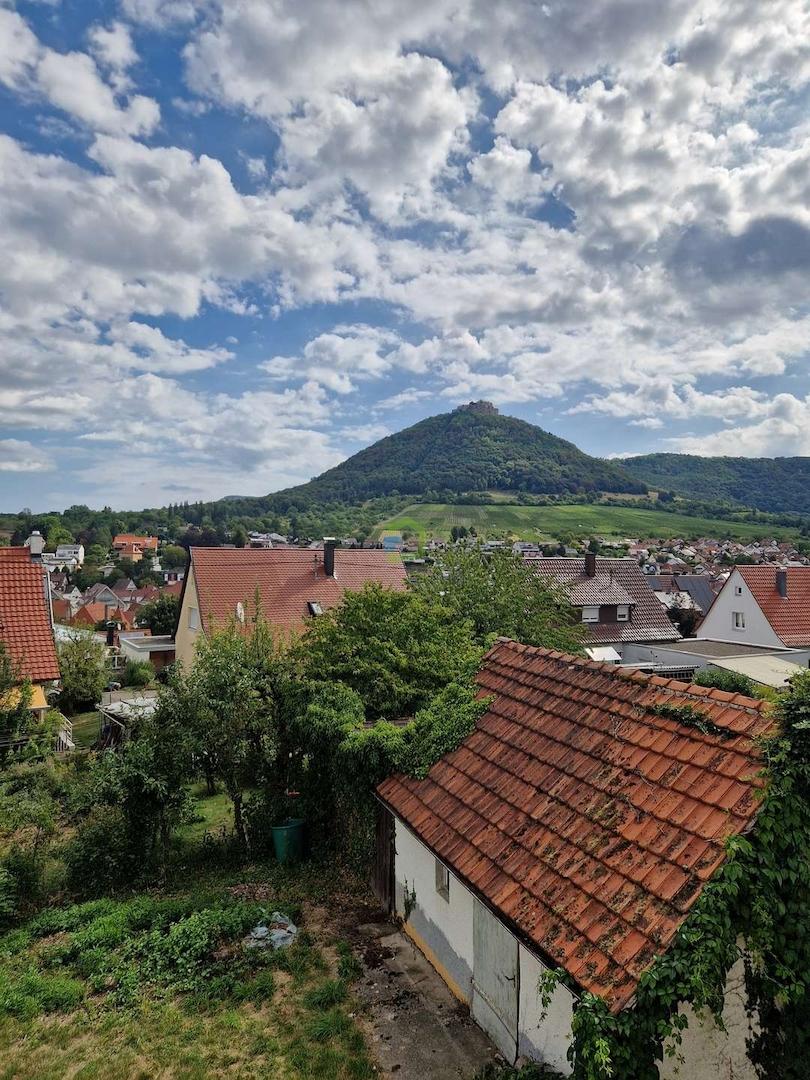 Ausblick