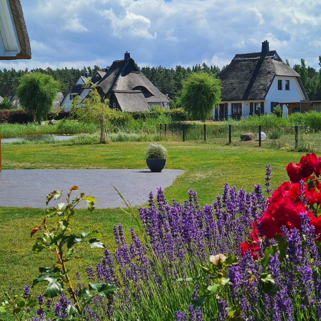 Blick in den Garten u. Teich