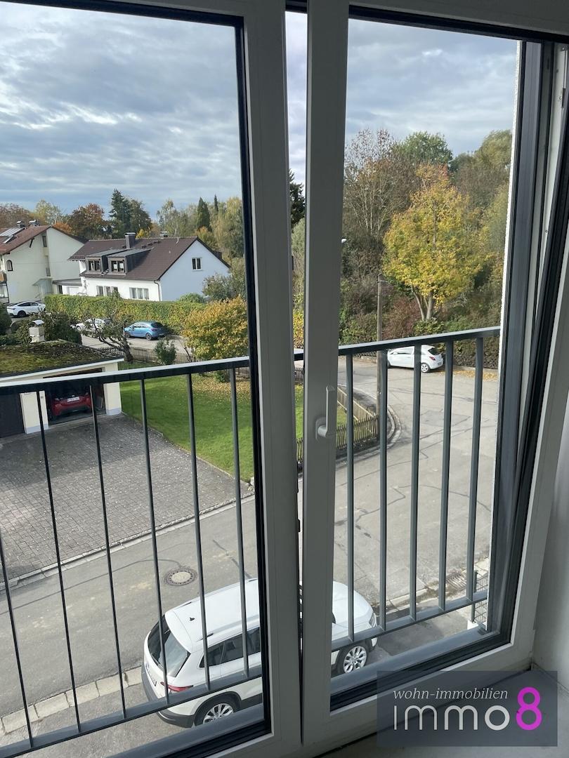 Blick ins Grüne