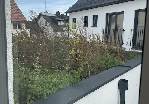 Blick vom OG