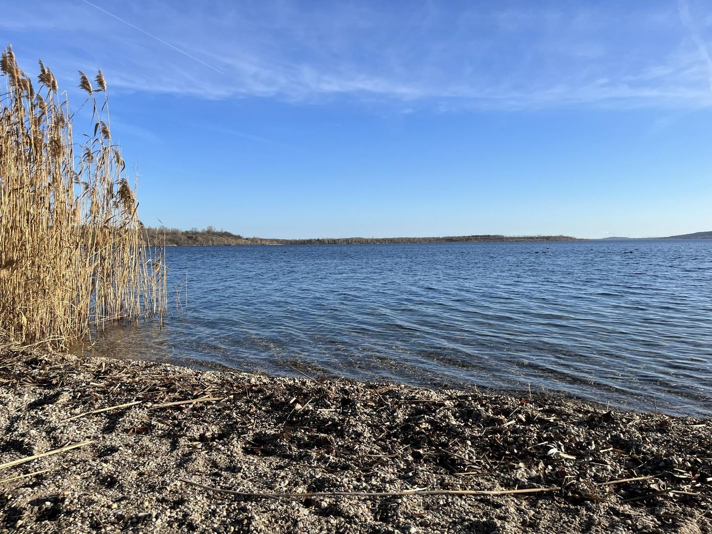 Der Geiseltalsee