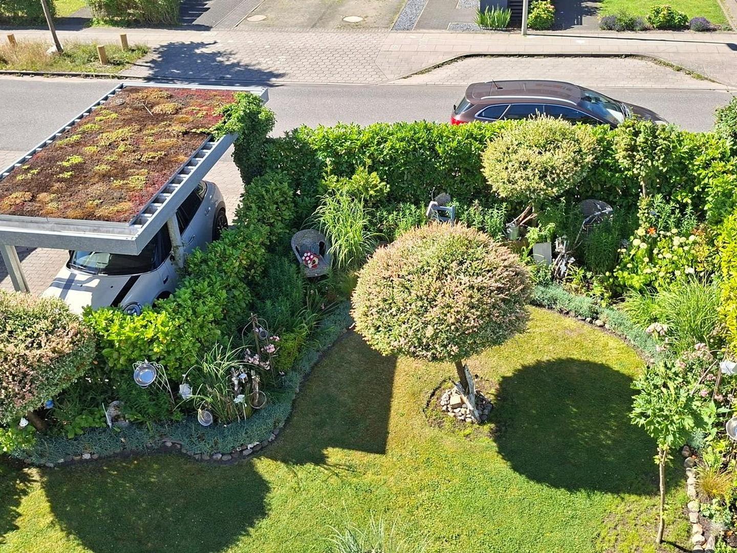 Garten und Carport