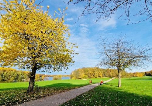 Öjendorfer Park