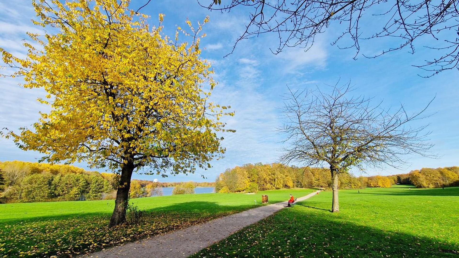 Öjendorfer Park