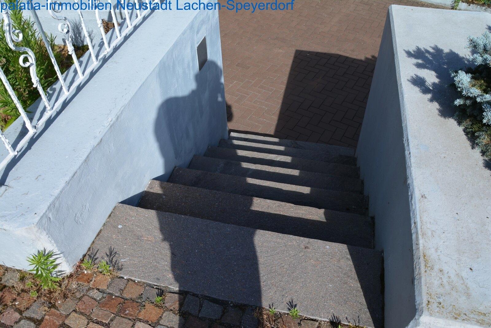 Treppe zum Haus und Vorgarten 