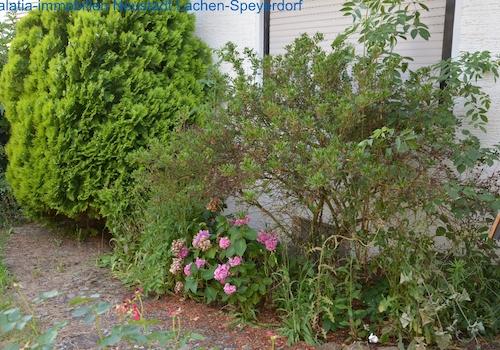 Garten weiteres Bild 