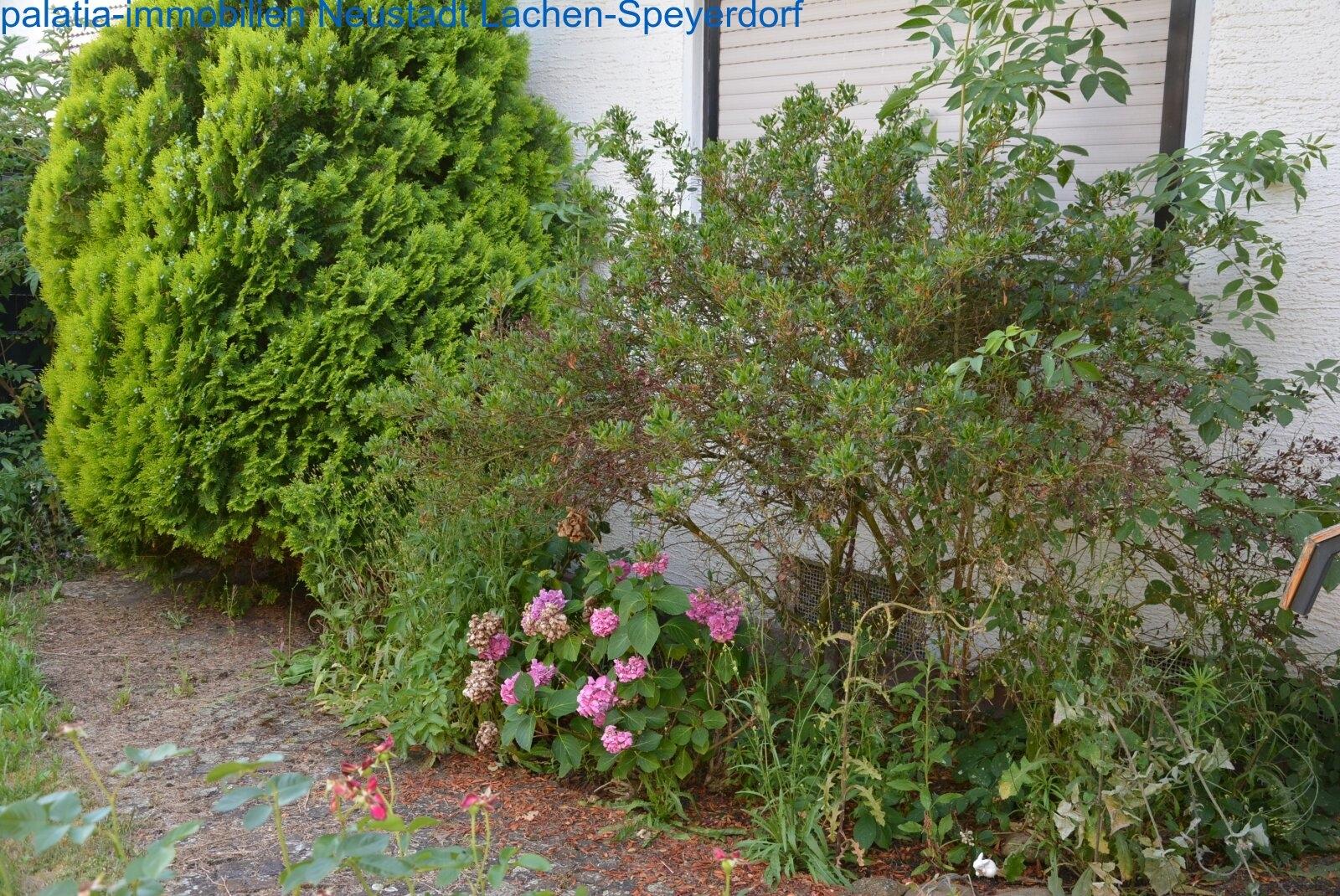 Garten weiteres Bild 