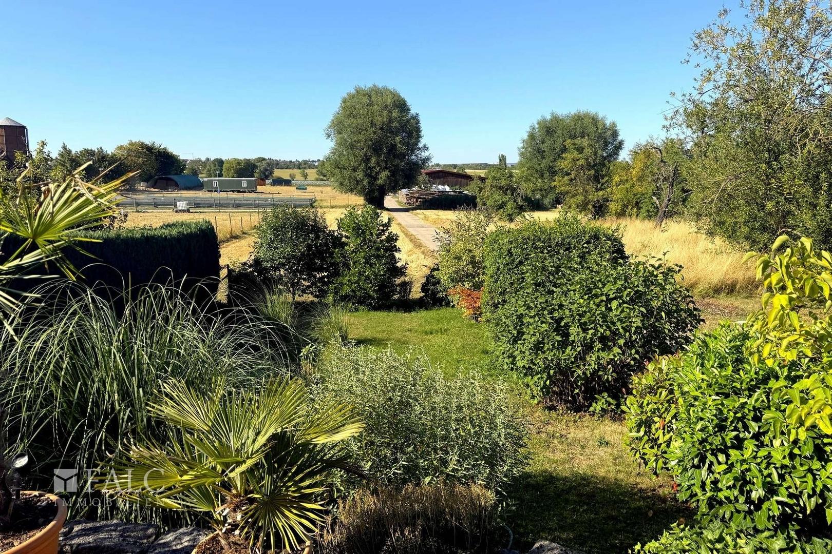 Ausblick Terrasse