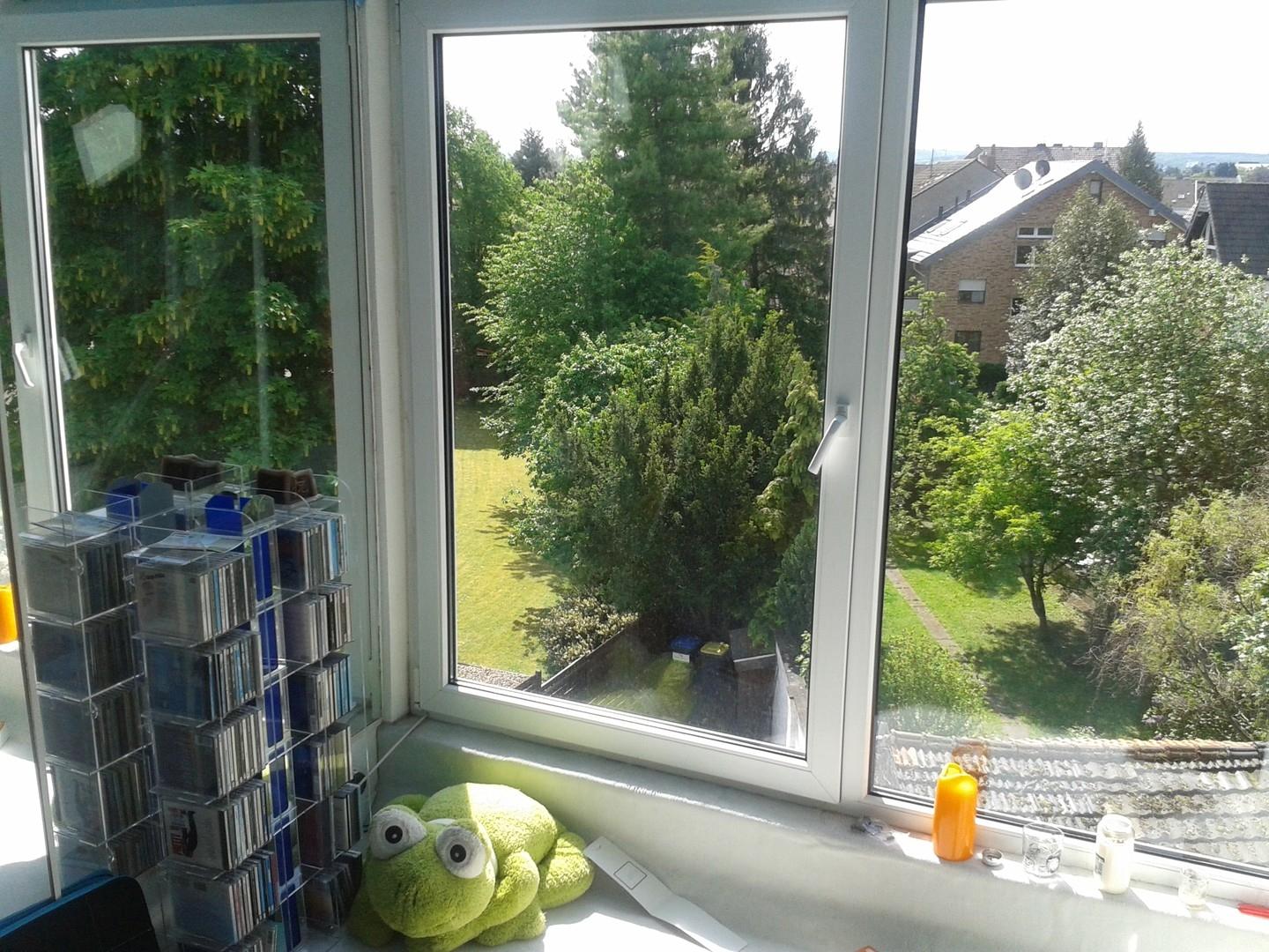 Aussicht auf Euskirchen 