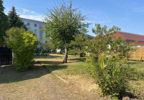 Blick zum Gartenbereich