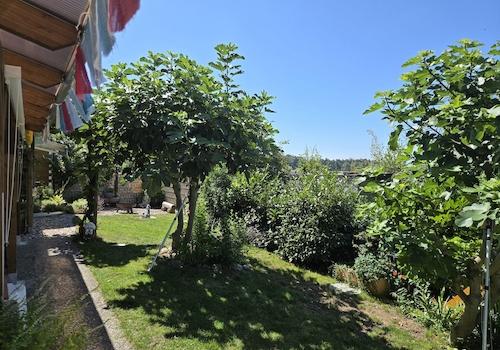 Terrasse und Garten 5