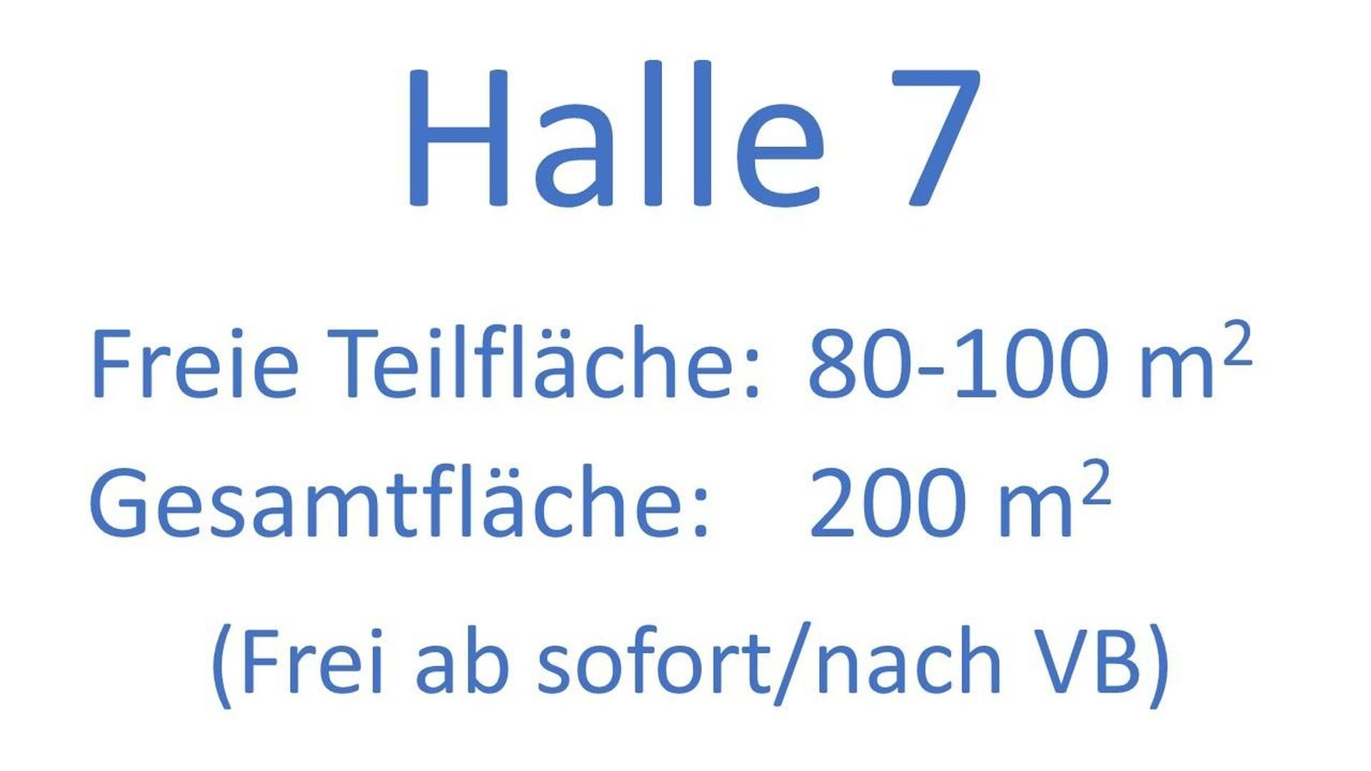Halle 7