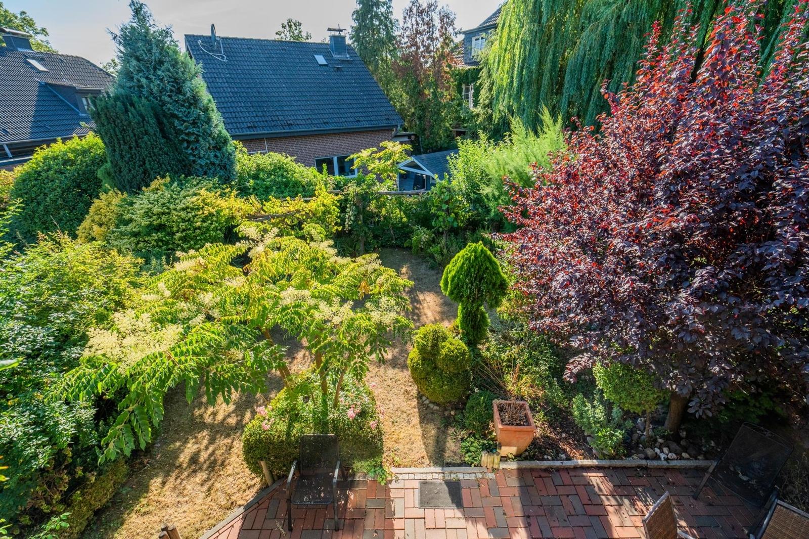Blick in den Garten