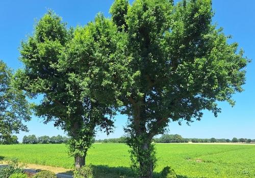 Blick nach Norden