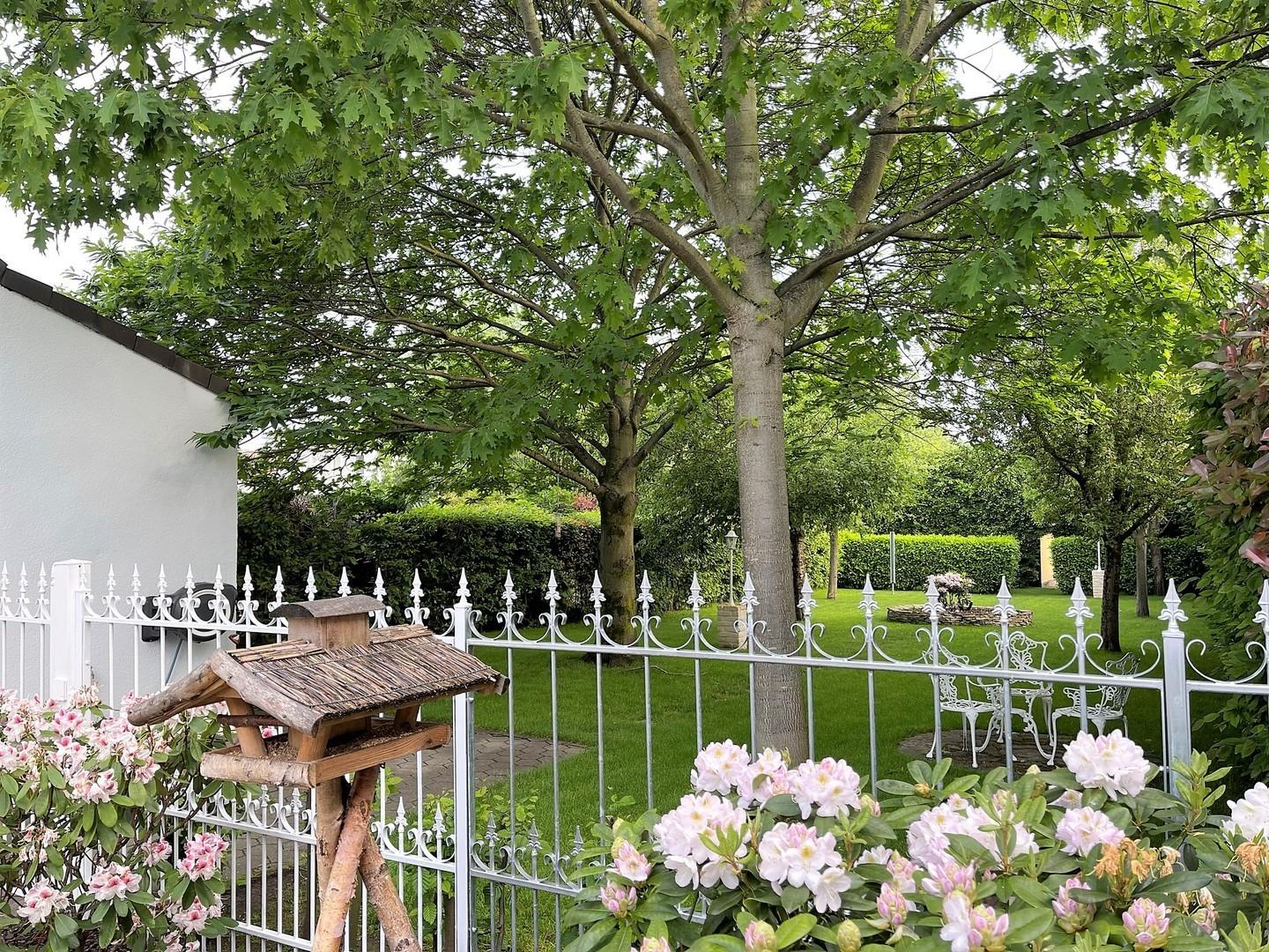 Blick in den Garten