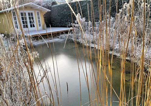 Teich, Gartenhaus, Terrasse