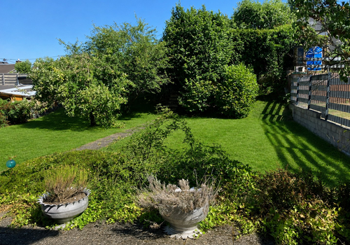 Blick in den Garten