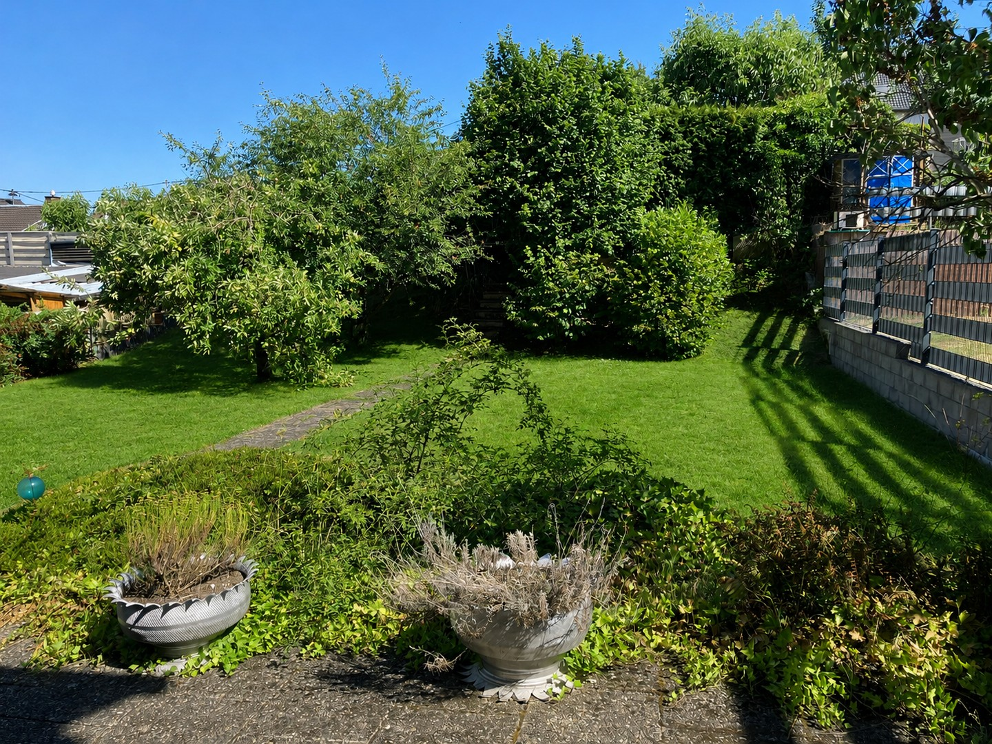 Blick in den Garten