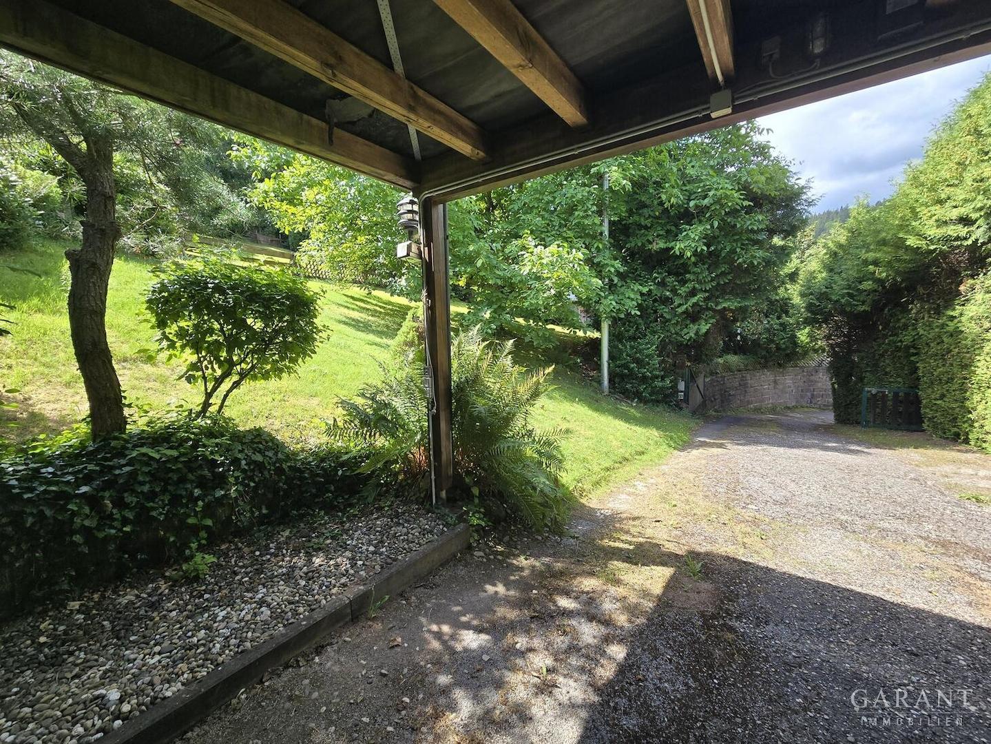 Auffahrt zum Carport