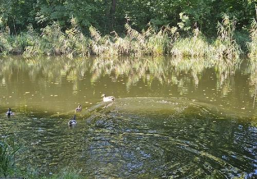 oranienburger Kanal