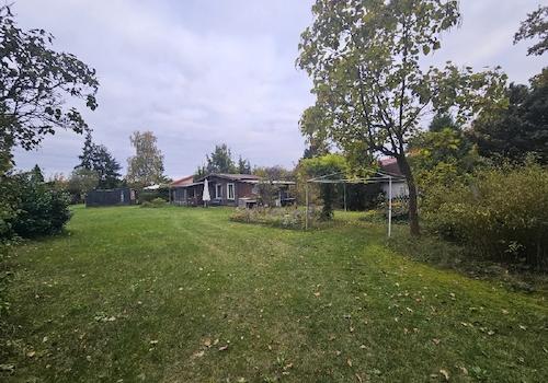 Blick in den Garten
