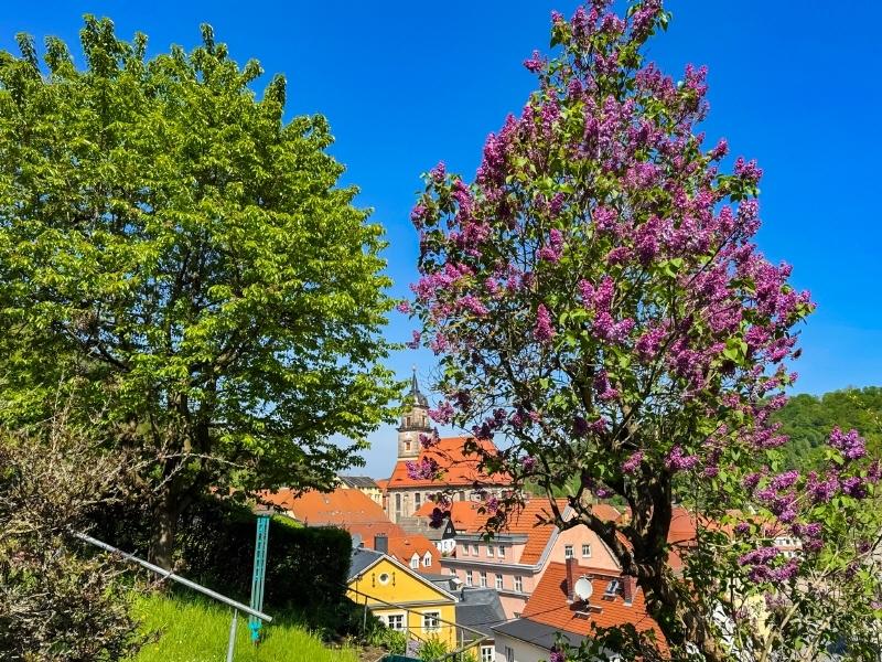 Blick vom Gartenhaus zur Stadt