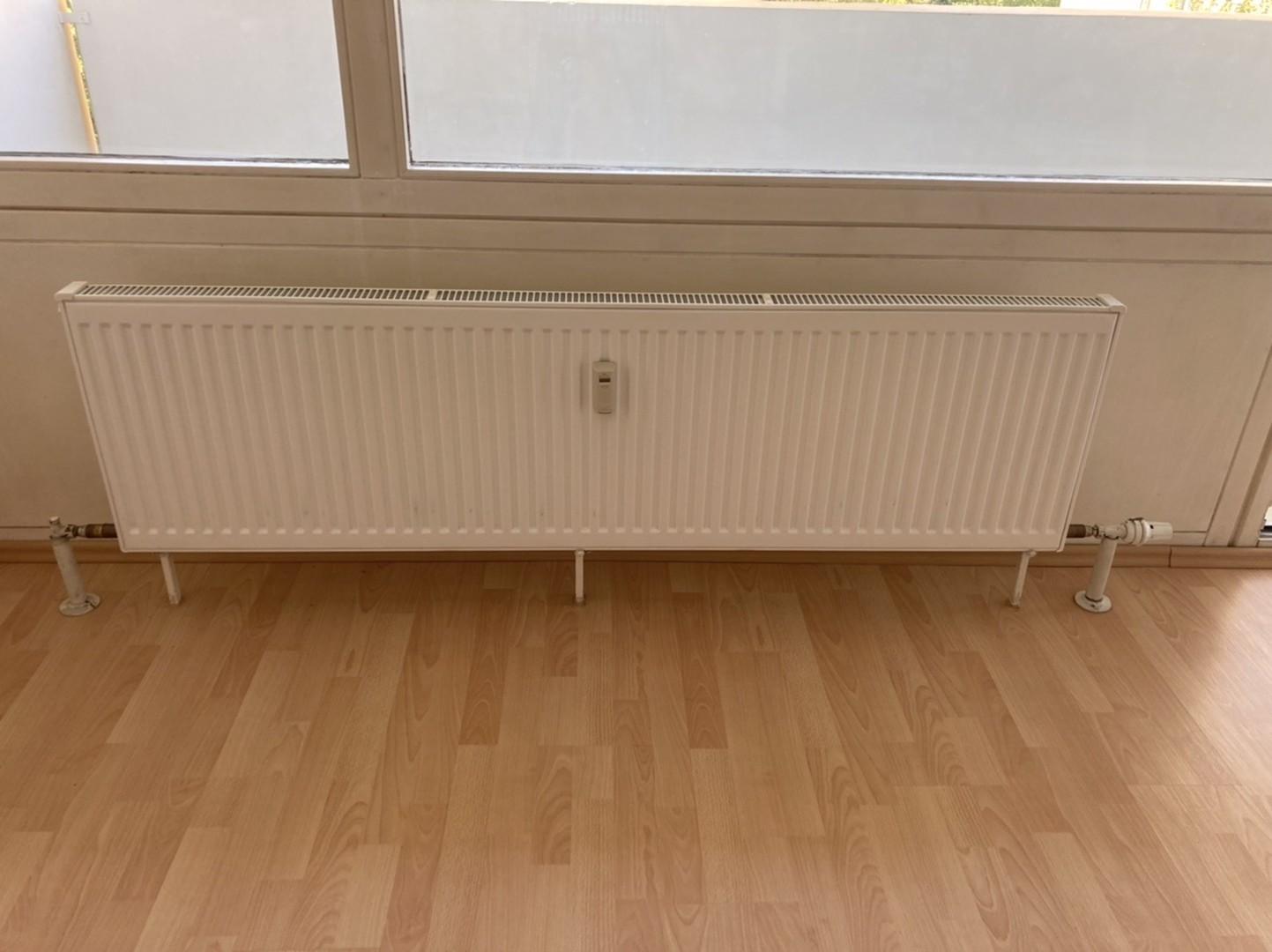 neuer Heizkörper bzw. Laminat