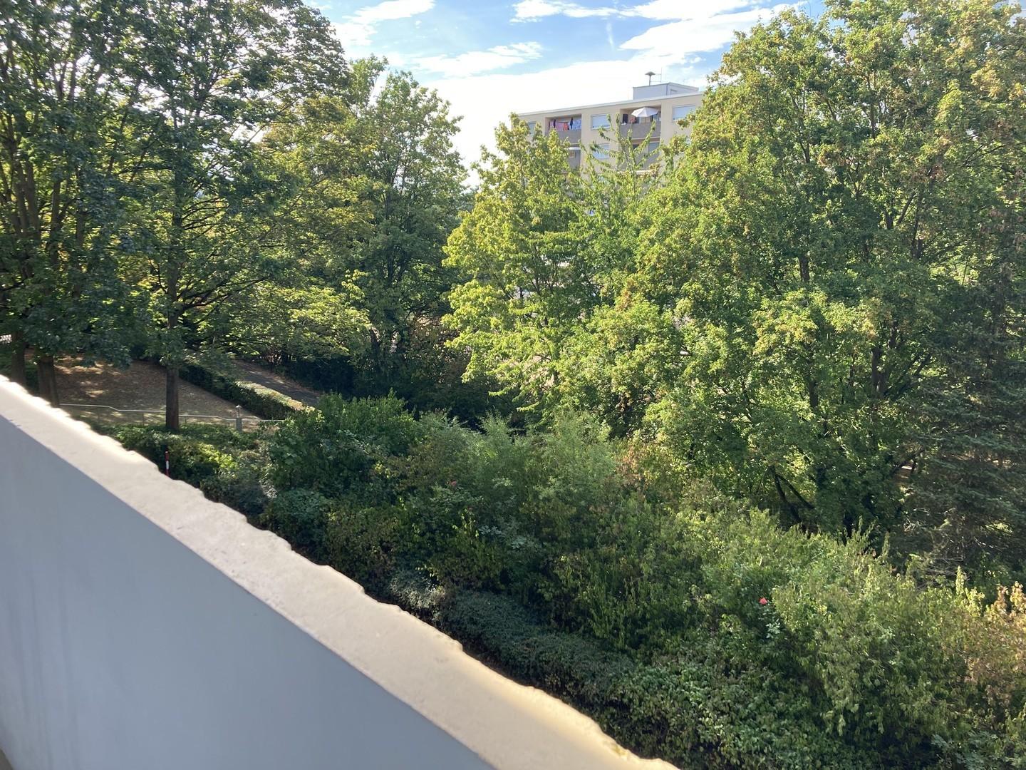 Ausblick vom Balkon