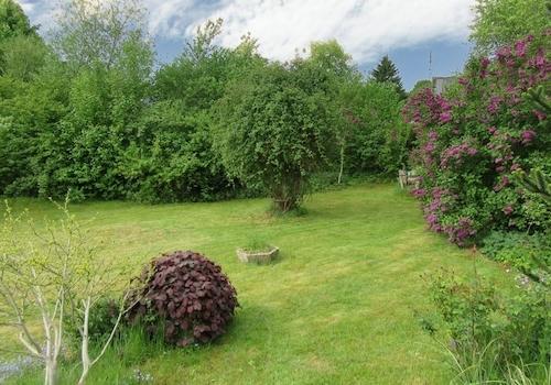 Blick in den Garten