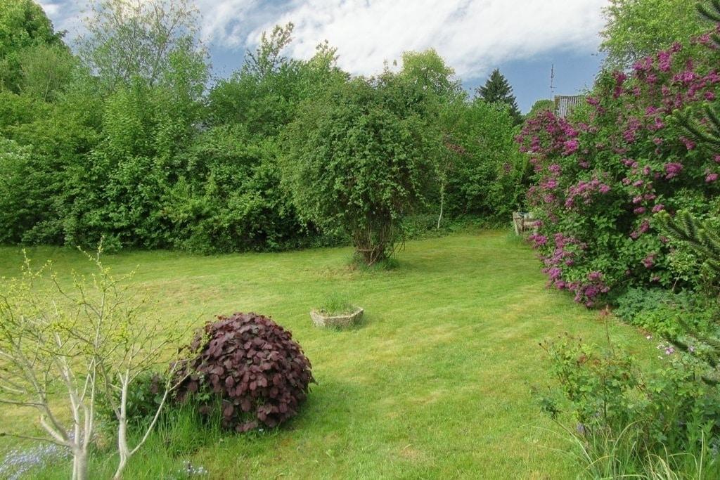 Blick in den Garten