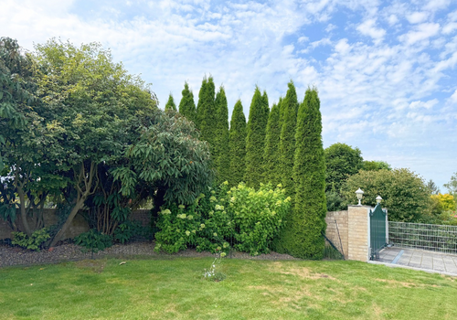 Garten vorne