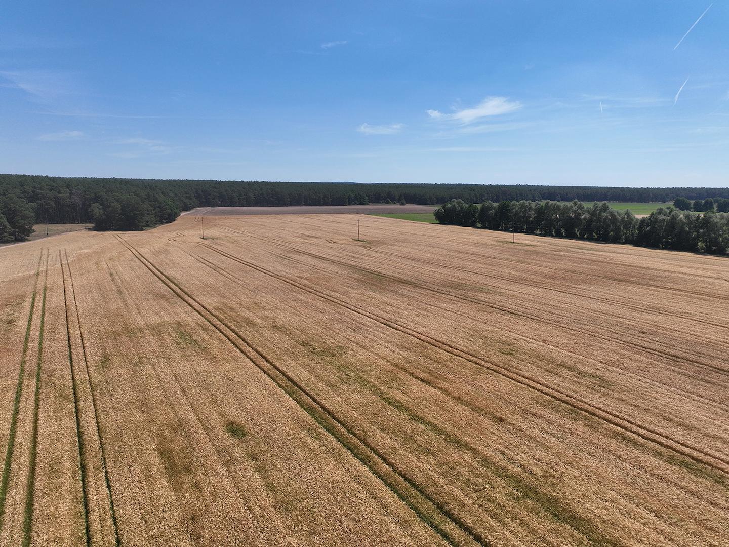 Blick über den Acker 