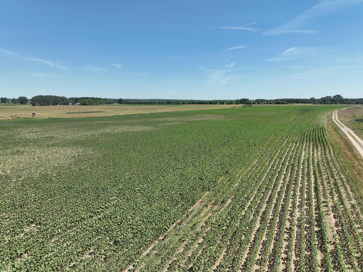 Blick über die Landwirtschaftsflächen 