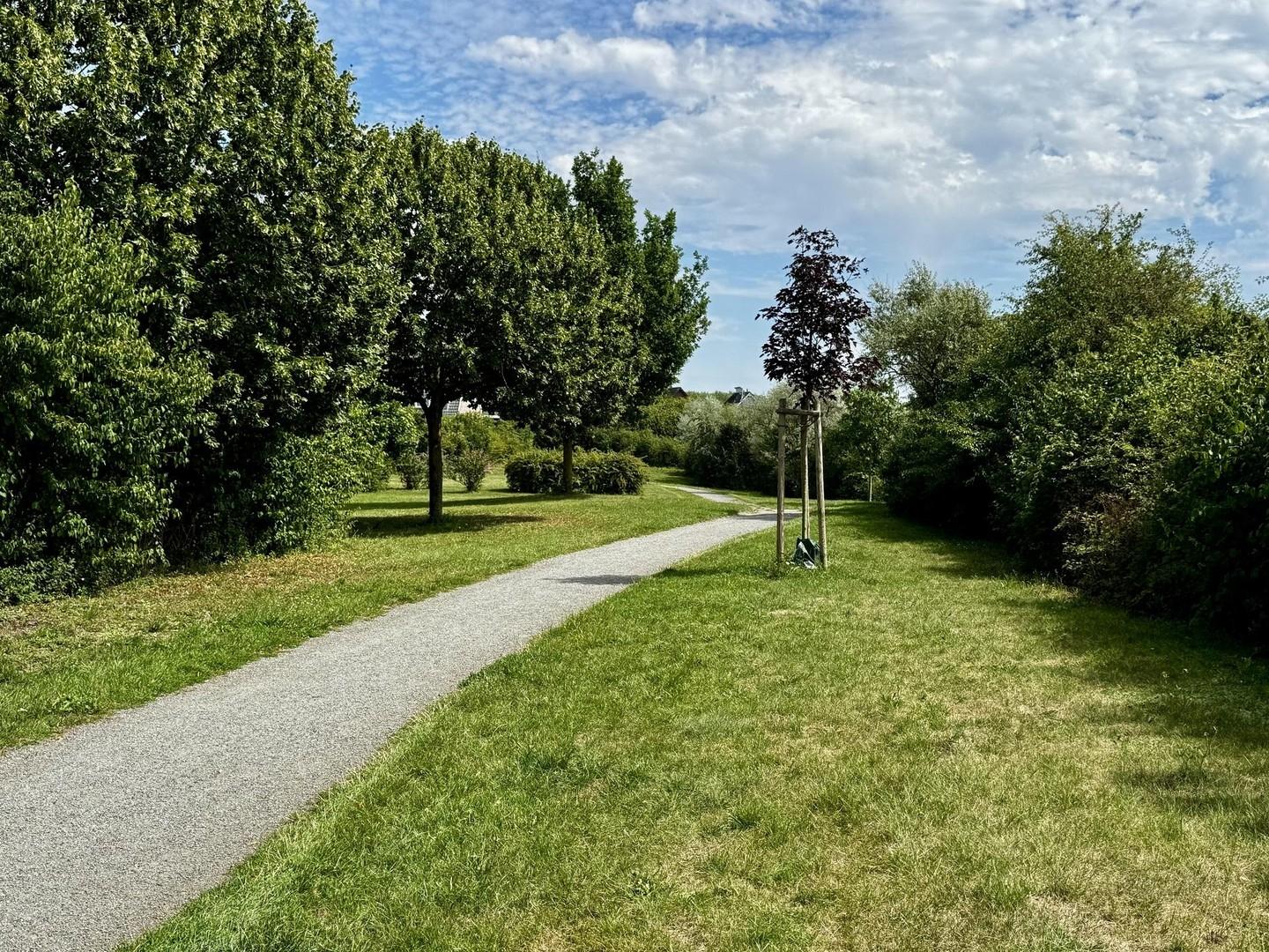 Park fußläufig (2)